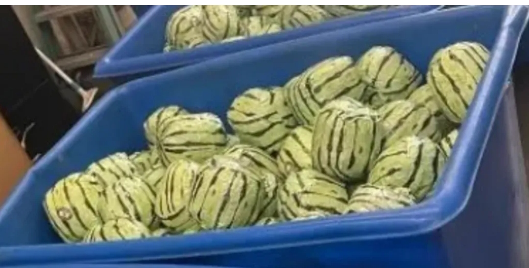 US Border Agents Seize Over $5 Million Worth of Methamphetamine Hidden in Watermelon Shipment.