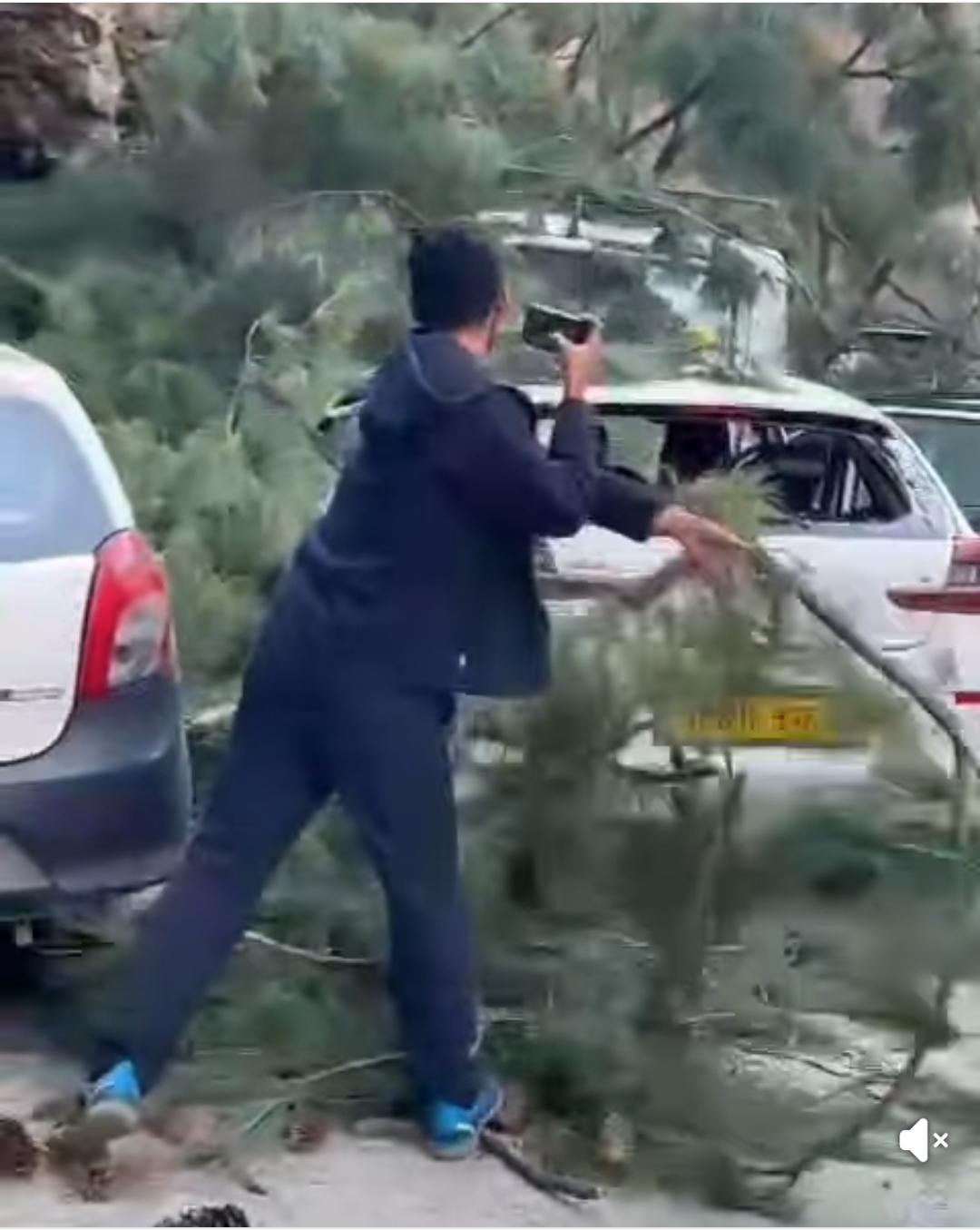 Tragic Incident Near Manikaran Gurdwara in Kullu Himachal as Tree Falls on Road, Causing Six Deaths and Six Injuries.