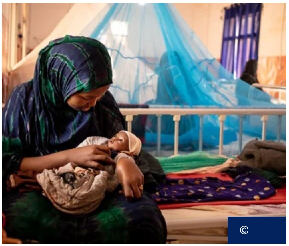 Global Child Mortality Progress Slows Despite Decades of Gains, 4.9 Million Children Die Before Age Five in 2024.