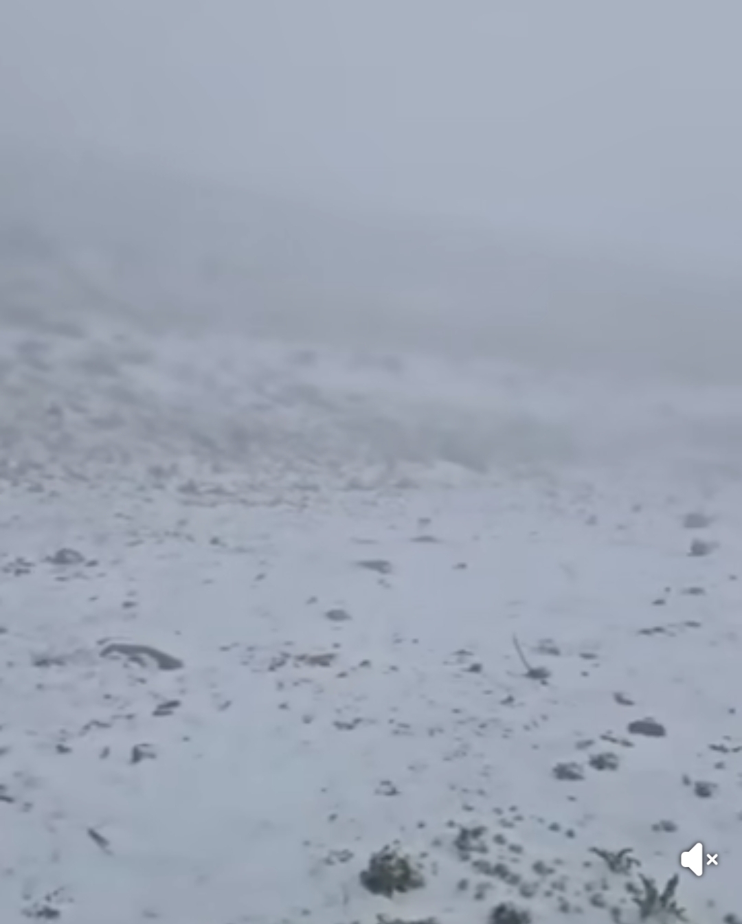 Rare May Snowfall Blankets Mount Hermon in Unusual Weather Event. 